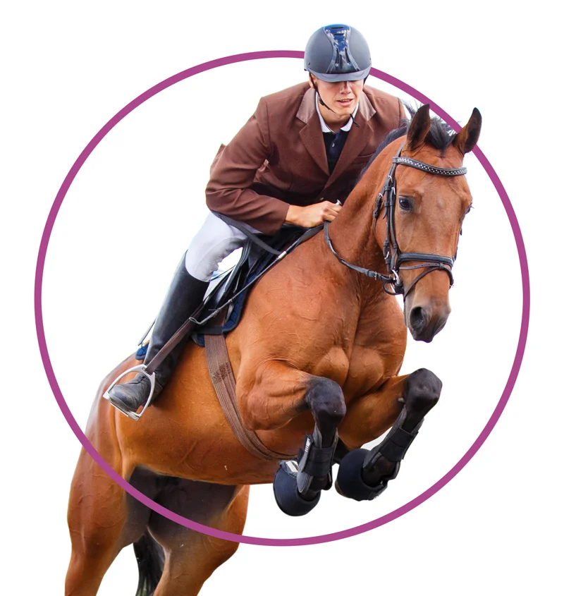 Jumping Horse