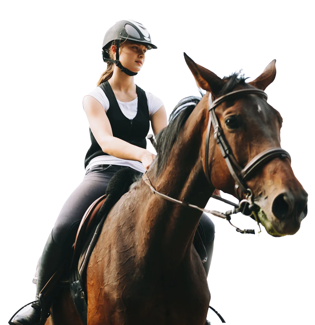 Horse Rider